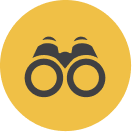Vision Icon